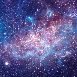 Meet your Posher, Roselyn